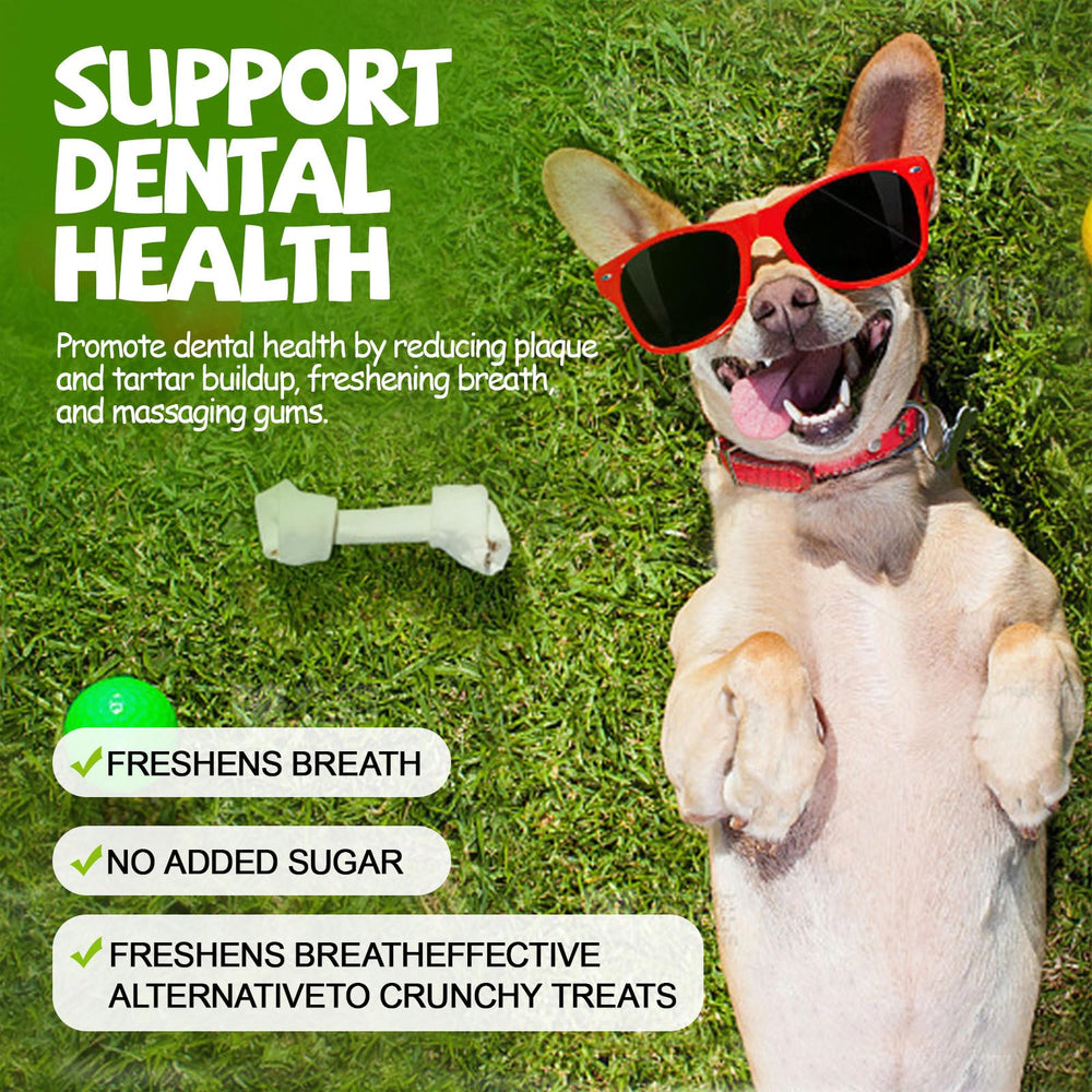 ASMPET kabobs protein-rich chew for small and medium dogs.