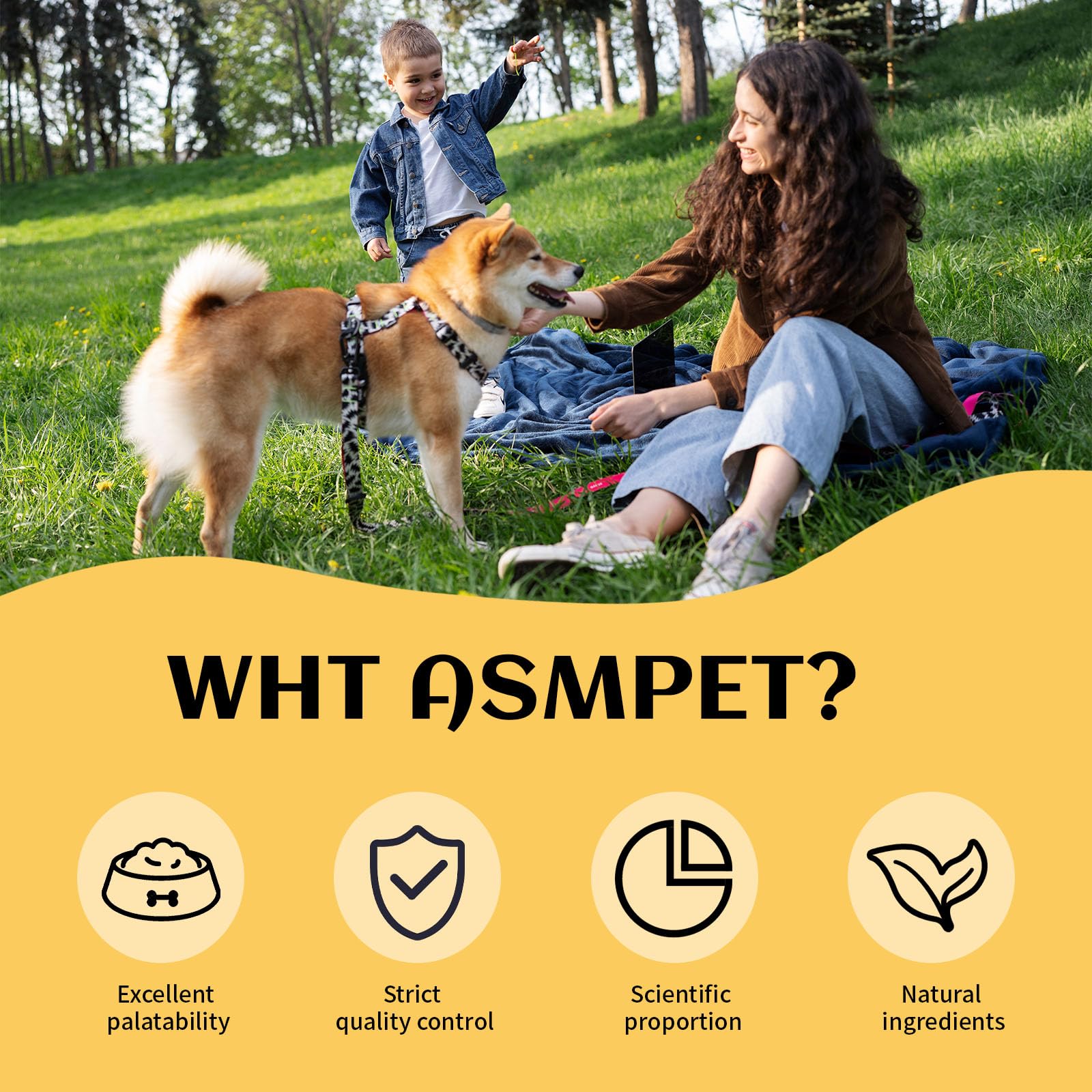 ASMPET protein-rich chicken chips for stronger muscles and coat.