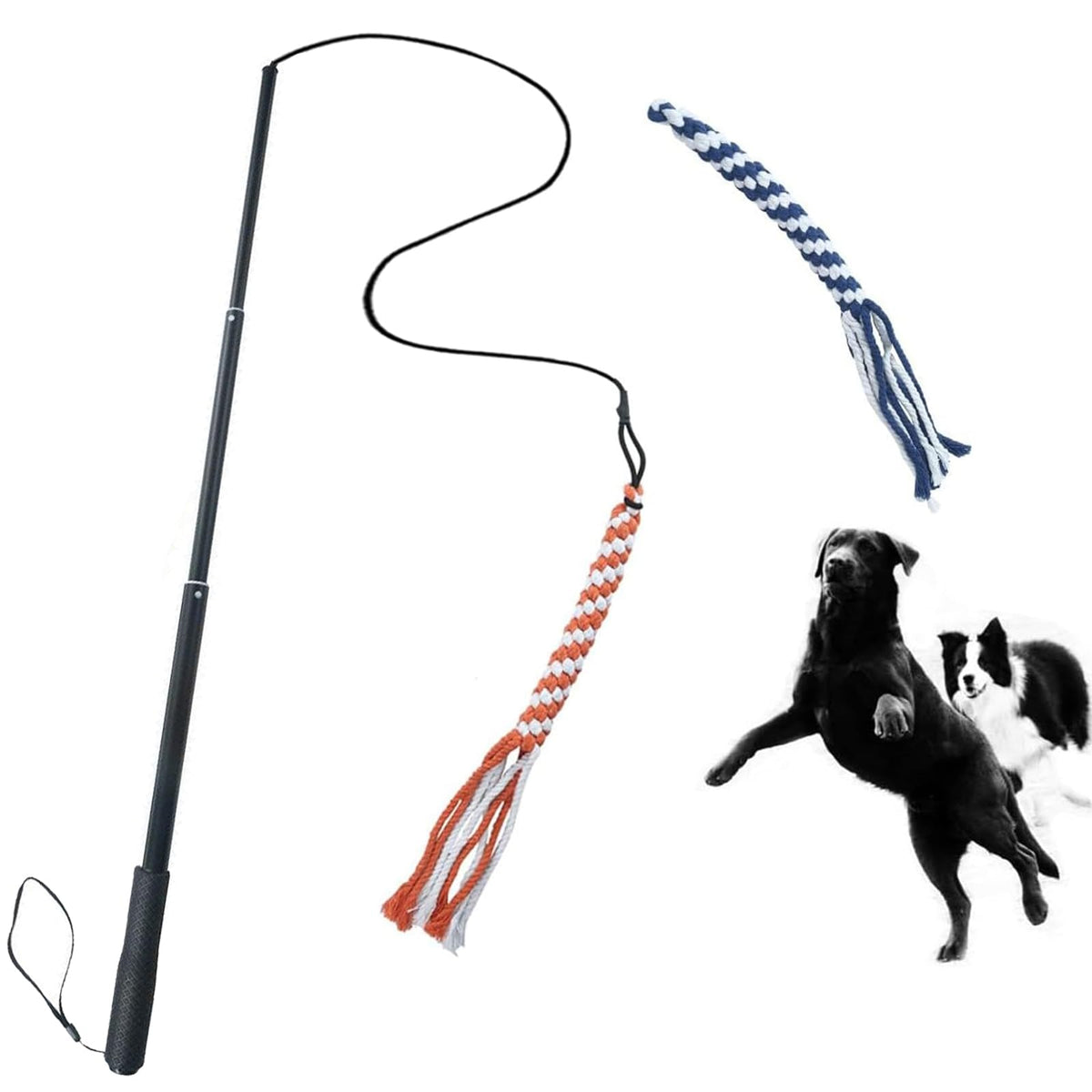 ASOCEA extendable teaser wand in action for interactive outdoor play.
