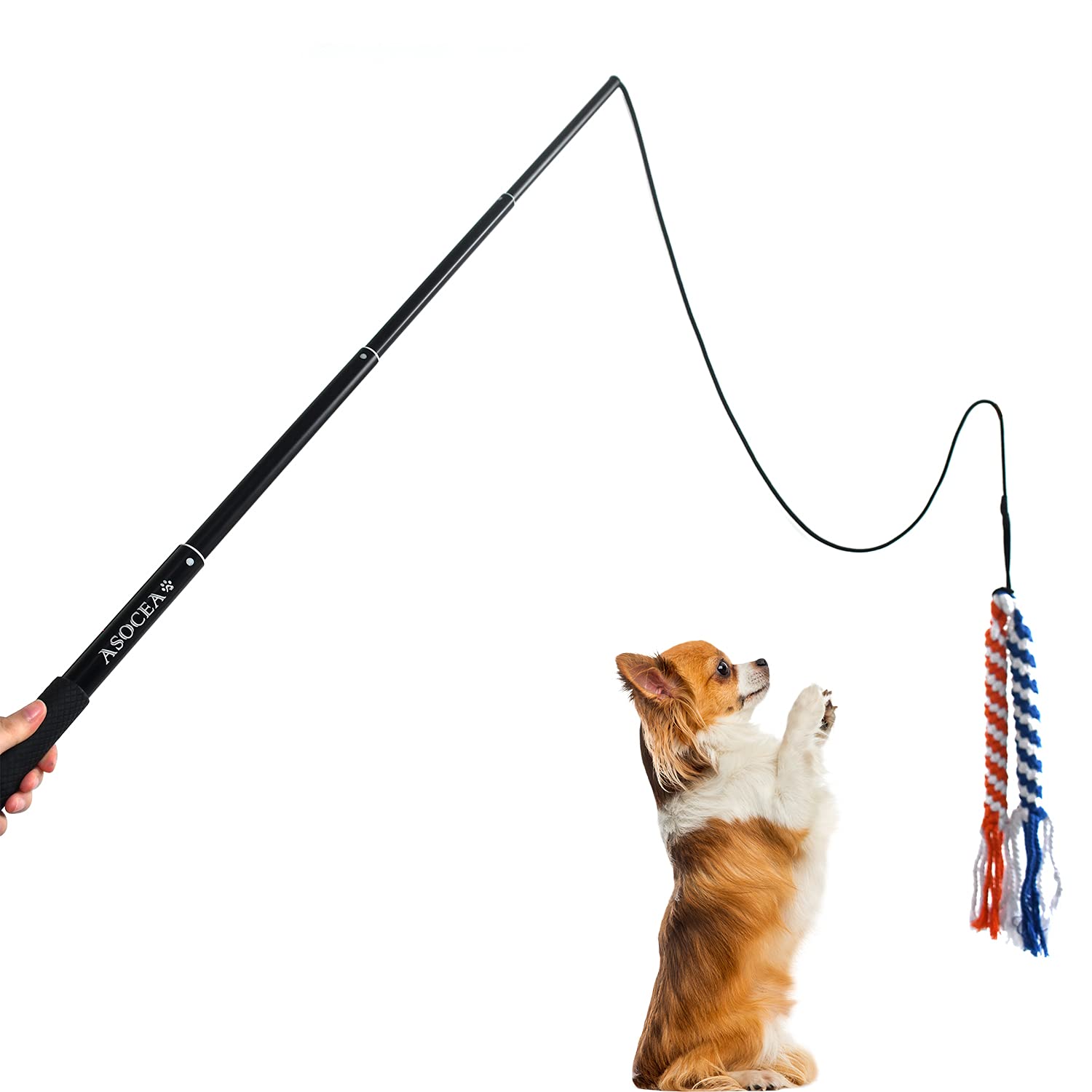 ASOCEA durable nylon cord and extendable pole design.