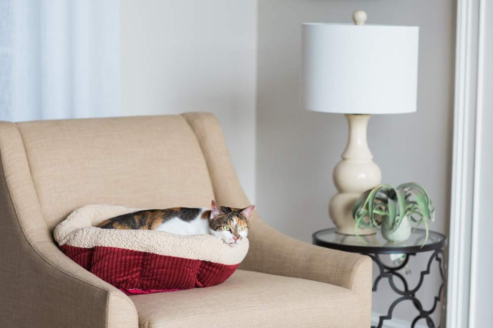 Aspen Pet self-warming bed with Mylar interior provides warmth without electricity.