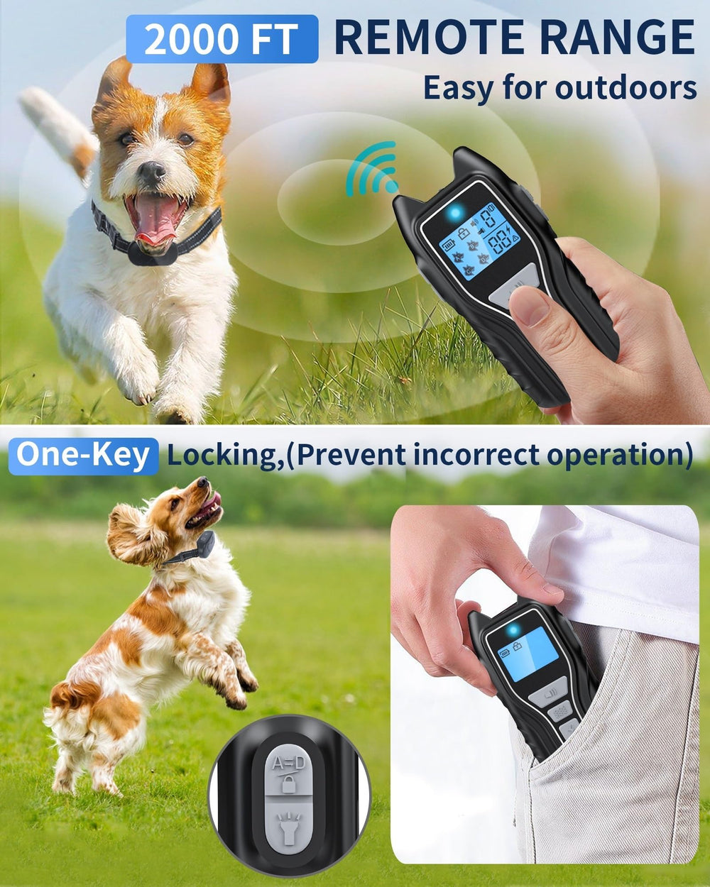Asrcs 2km range dual-channel collar enables multi-dog sessions.