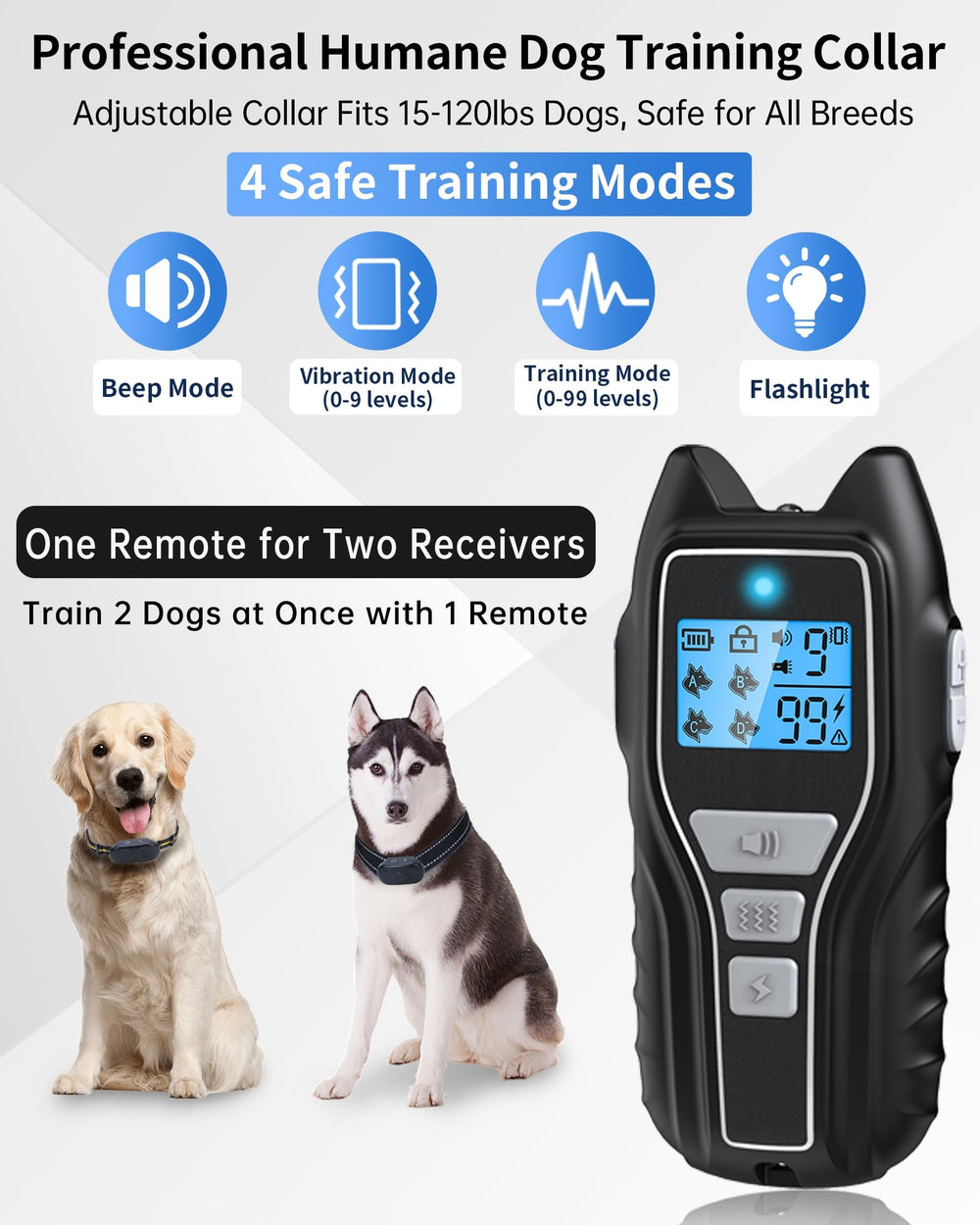 Asrcs dog training collar remote in action for effective cues.