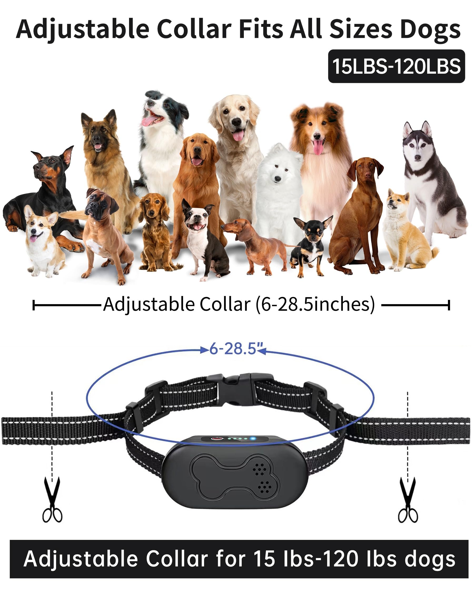 Asrcs waterproof dog collar ready for rain, puddles, and swims.