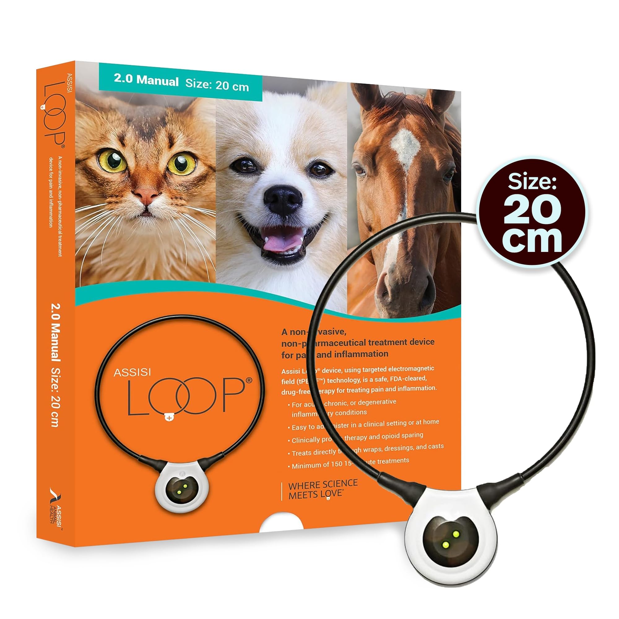 Assisi Loop 20cm device on cat during session supports comfort.