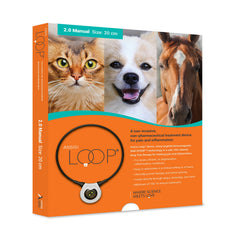 Assisi Loop 20cm device on dog during session improves comfort.