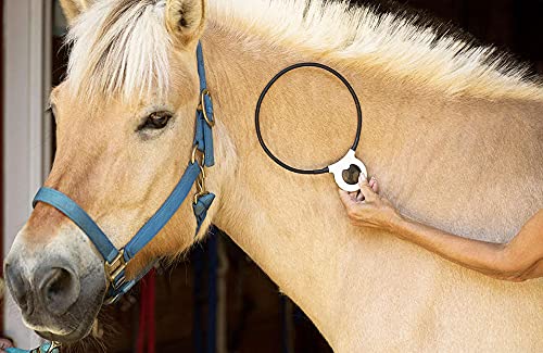 Assisi Loop device used in clinic or home for non-drug pain management.