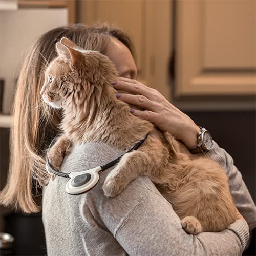 Assisi Loop easy-to-use setup enables quick, non-drug therapy at home.