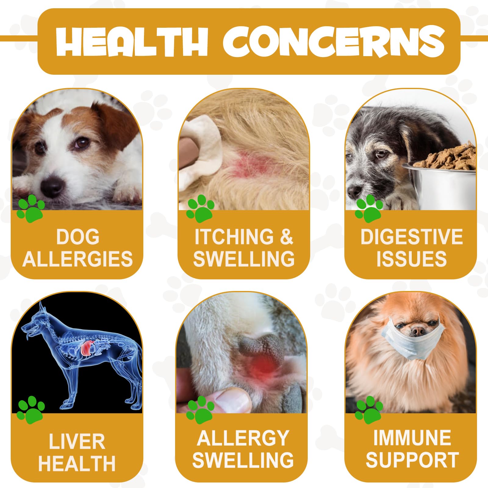 ASUSXCLI Allergy Relief Drops milk thistle benefits for liver health and vitality