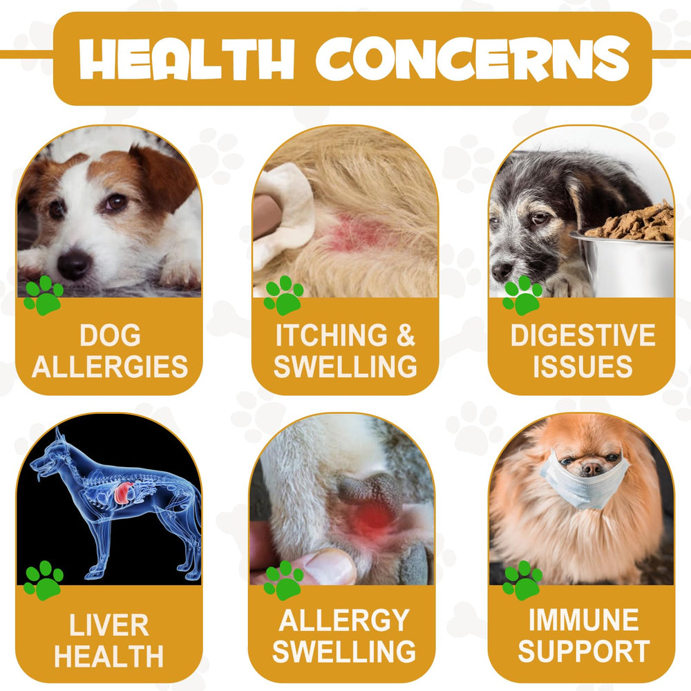 ASUSXCLI Allergy Relief Drops milk thistle benefits for liver health and vitality