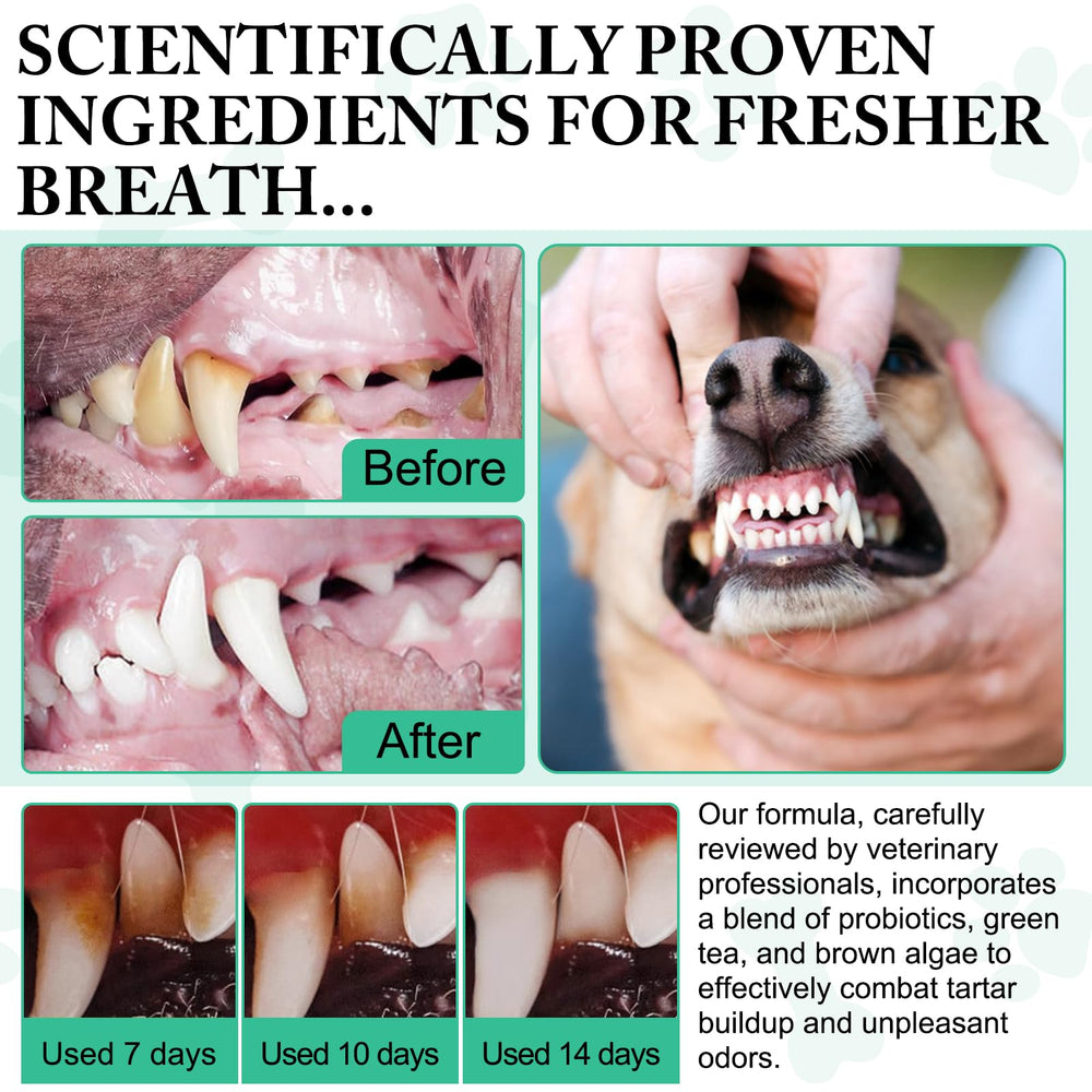 asusxcli dog dental powder near teeth highlights tartar control potential.