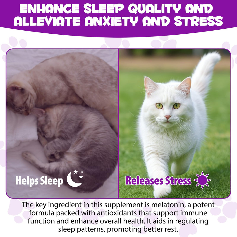 asusxcli measured dose syringe shows precise administration for cats.
