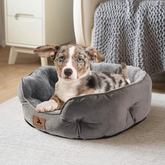 Asvin Medium Dog Bed with round design for secure naps