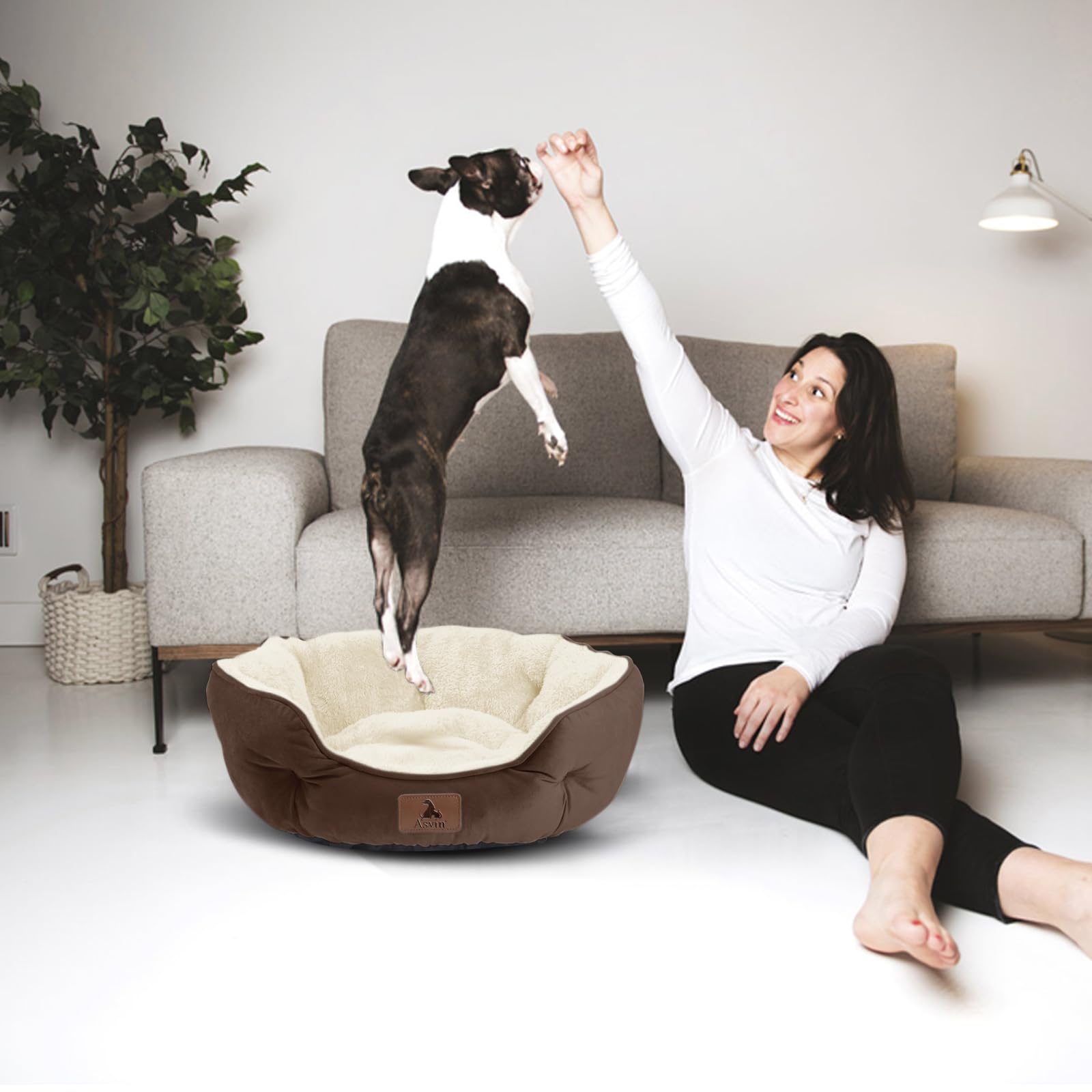 Asvin bed blends with home decor while providing comfort.