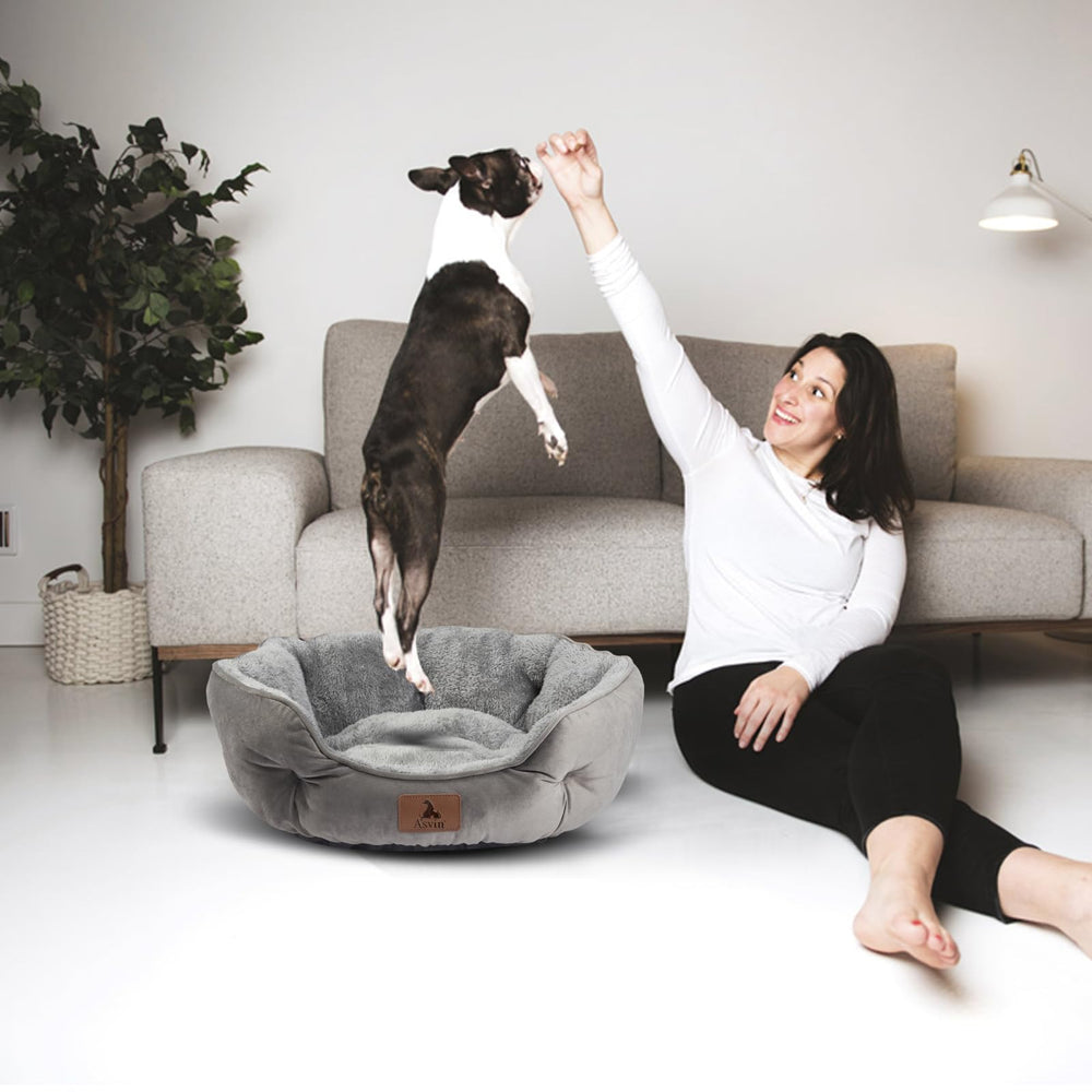 Asvin 20-inch size fits small dogs and cats comfortably.