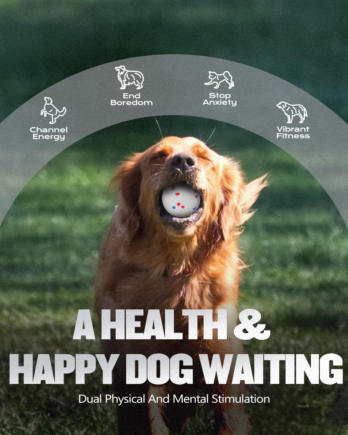 Atangee adjustable launch distances show 40 60 and 75 feet