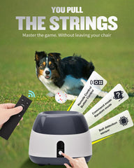 Atangee dog enjoys outdoor play with the launcher in action