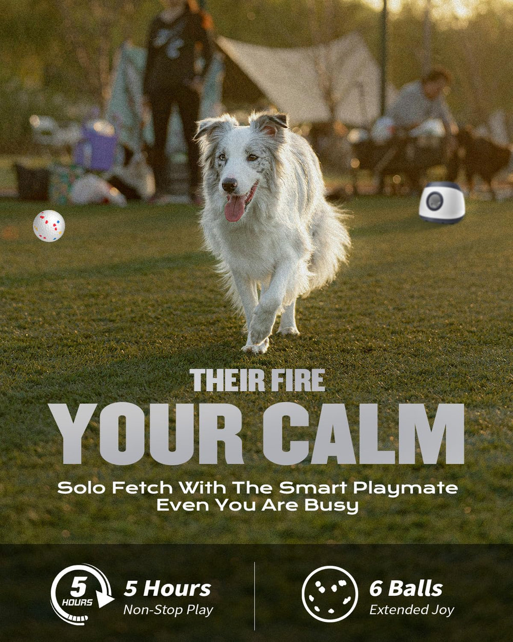 Atangee radar sensing mode launches autonomously for playful enrichment