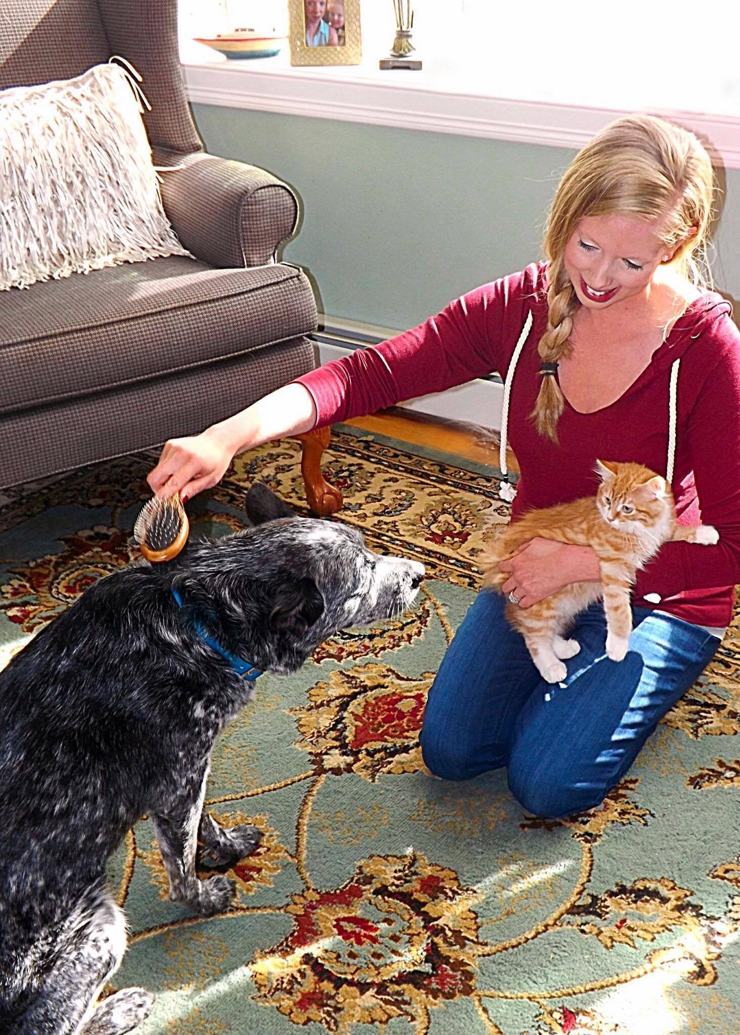 AtEase Accents gift for eco minded pet lovers, a thoughtful grooming accessory.