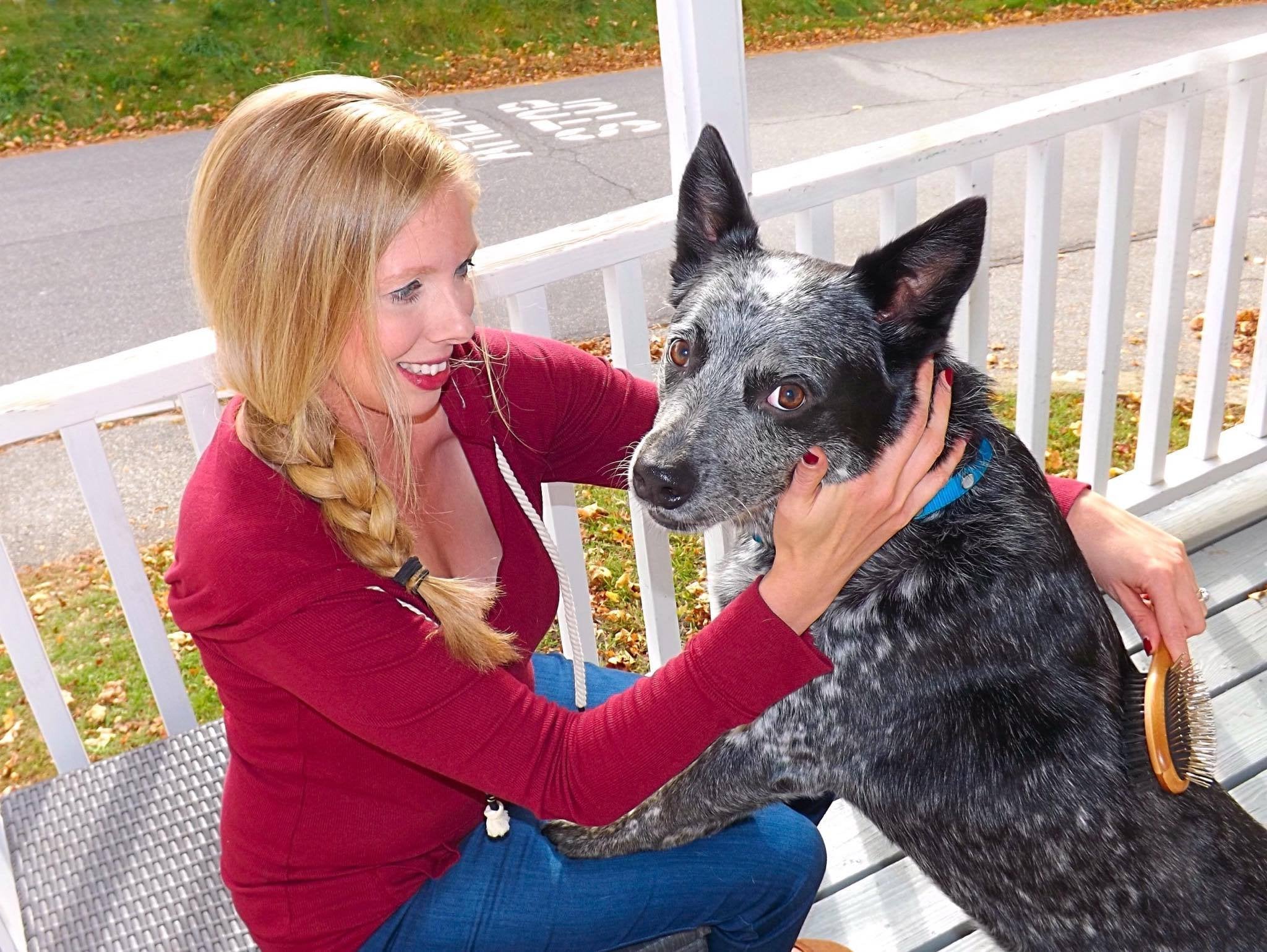 AtEase Accents long-haired pets benefit from gentle detangling and smoother coats.
