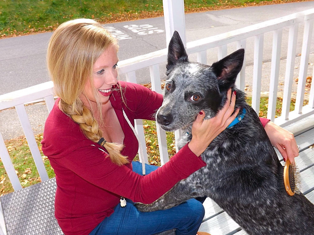 AtEase Accents long-haired pets benefit from gentle detangling and smoother coats.