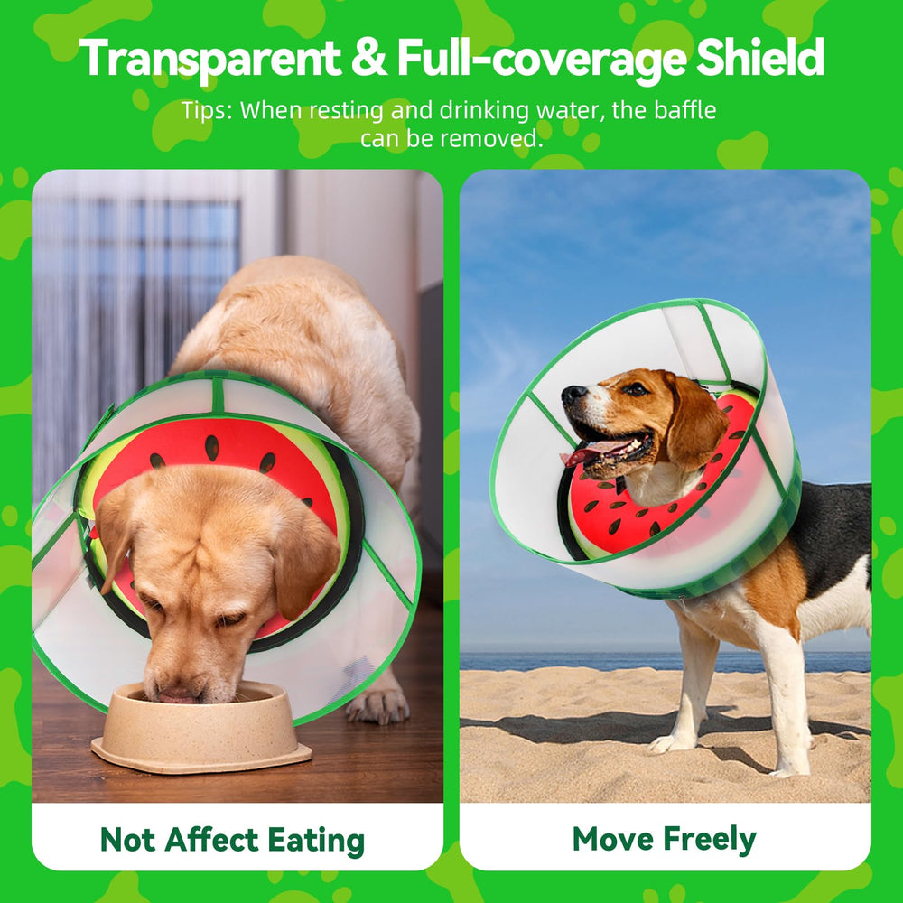 Pet recovering post-surgery wearing AThooDel cone during feeding and rest.