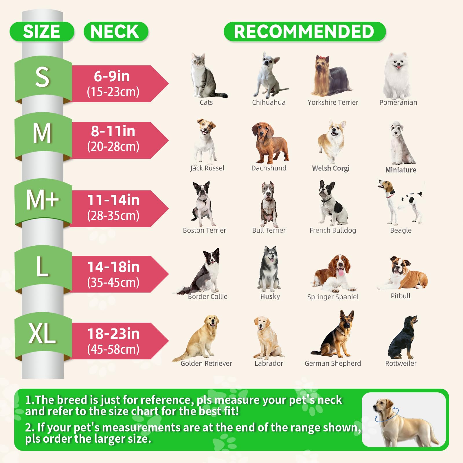 AThooDel soft-padding dog cone worn by a dog for comfortable daily activities.