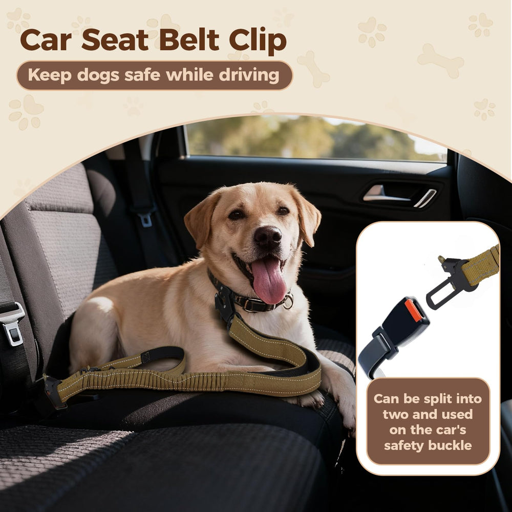 Atiansen high-strength nylon leash rated up to 200 lb for durable daily use.