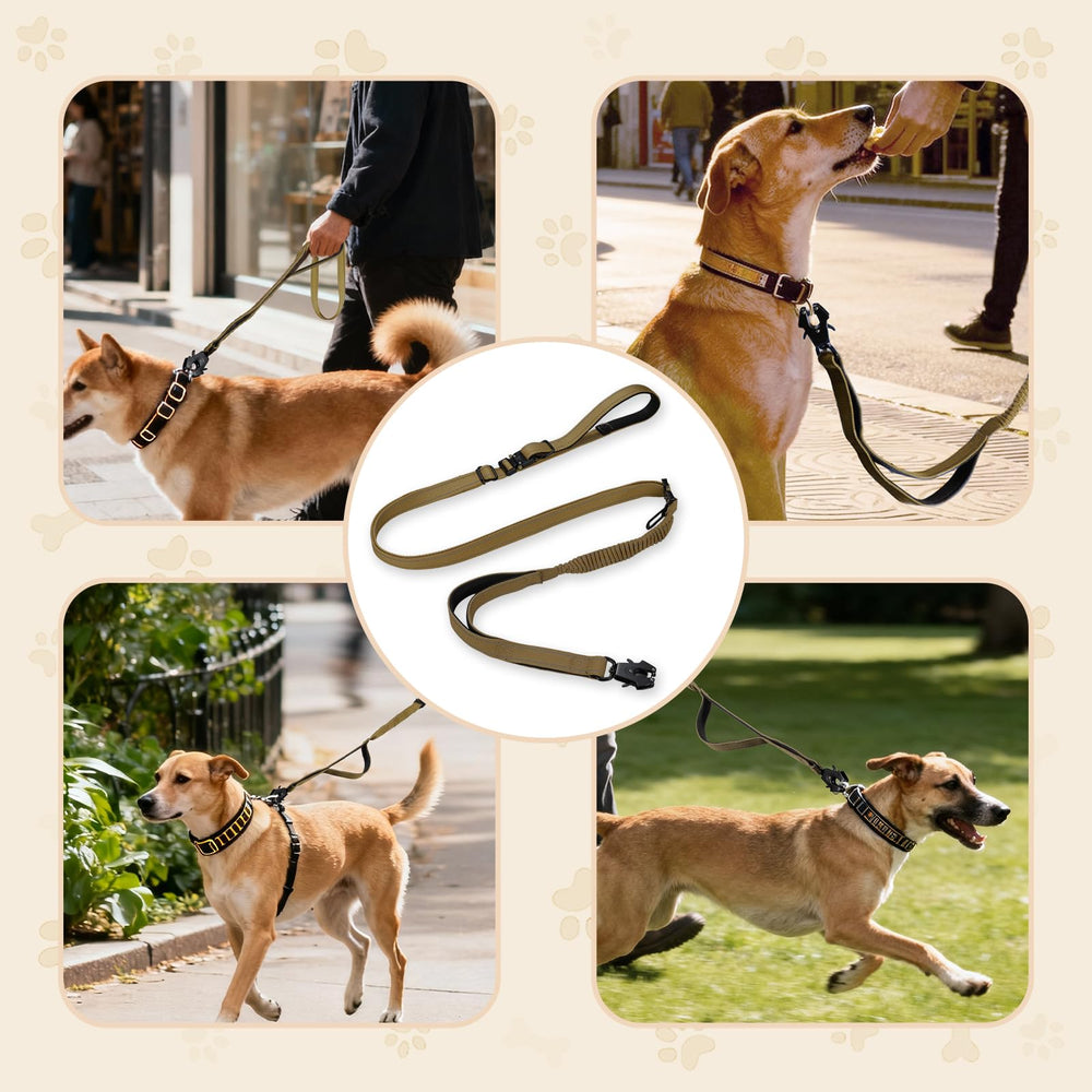 Atiansen night-time visibility leash with reflective stitching for better safety in low light.