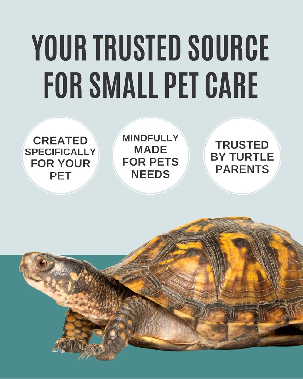 Atlantic Rush calcium and vitamin-rich block complements existing diets for aquatic turtle nutrition.