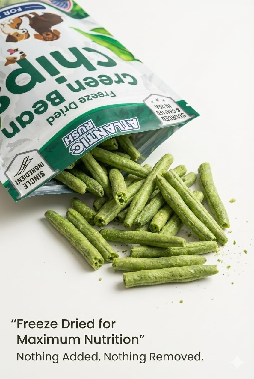 Atlantic Rush dog snack being offered during training for positive reinforcement