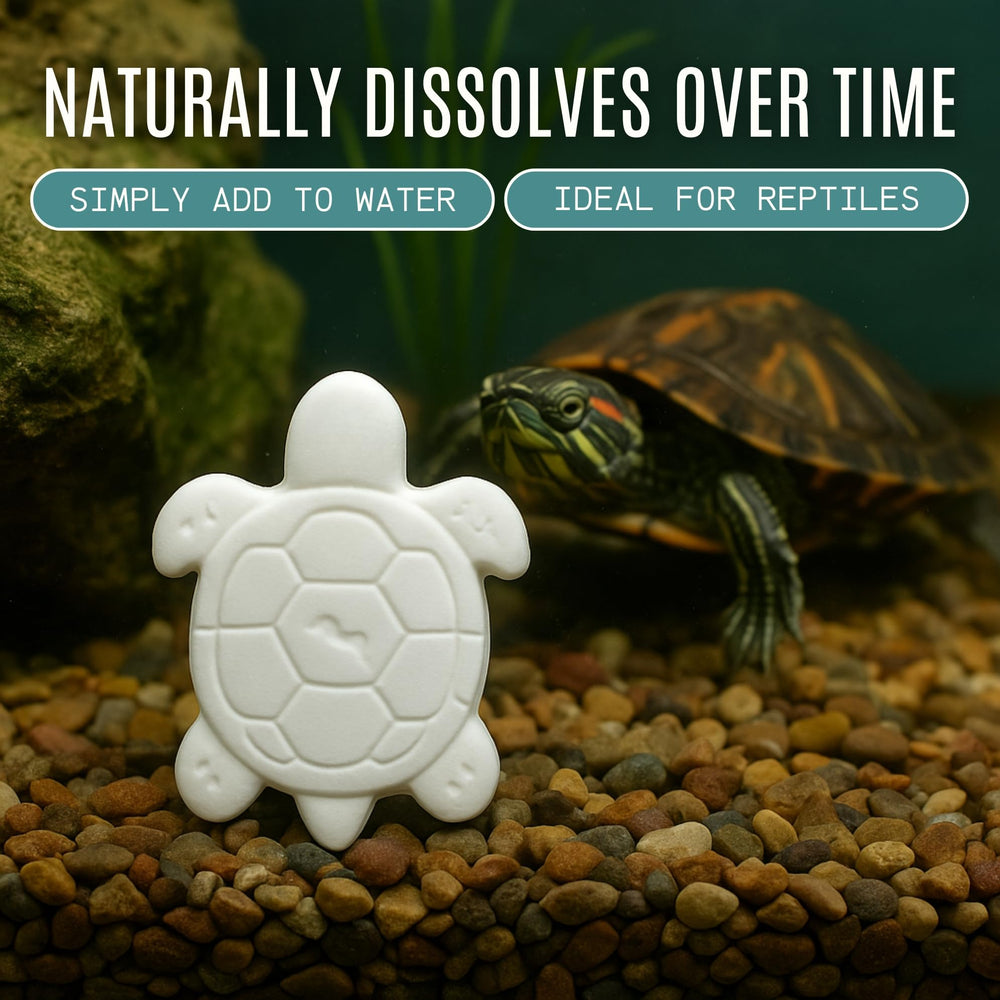 Atlantic Rush easy-to-use block integrates into turtle habitat with minimal disruption.