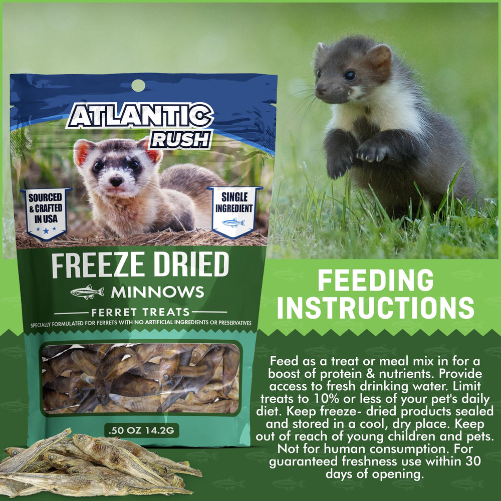 Atlantic Rush ferret treats served as a daily snack can support energy and vitality.