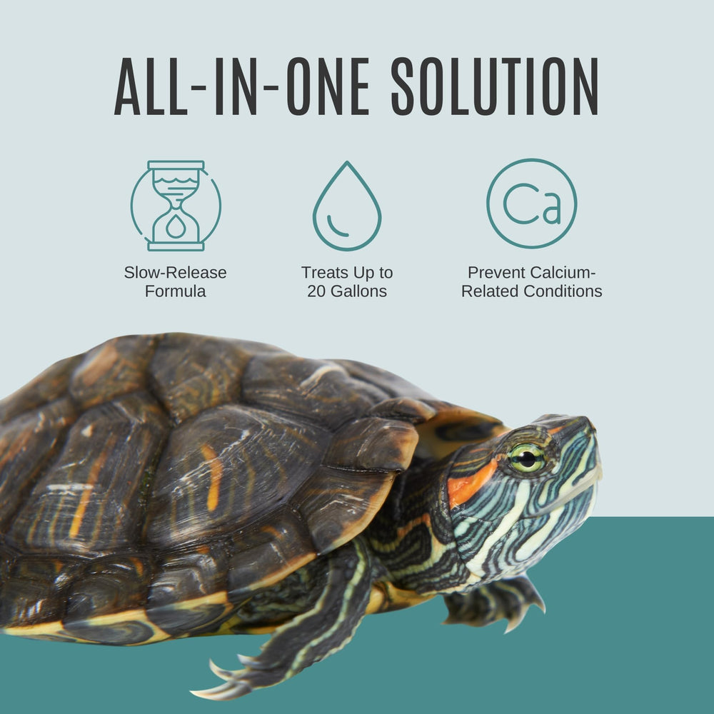 Atlantic Rush Shellstrong block resting on substrate provides balanced nutrients for a healthy shell.