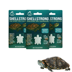 Atlantic Rush Shellstrong calcium block in turtle tank supports shell health with steady mineral release.
