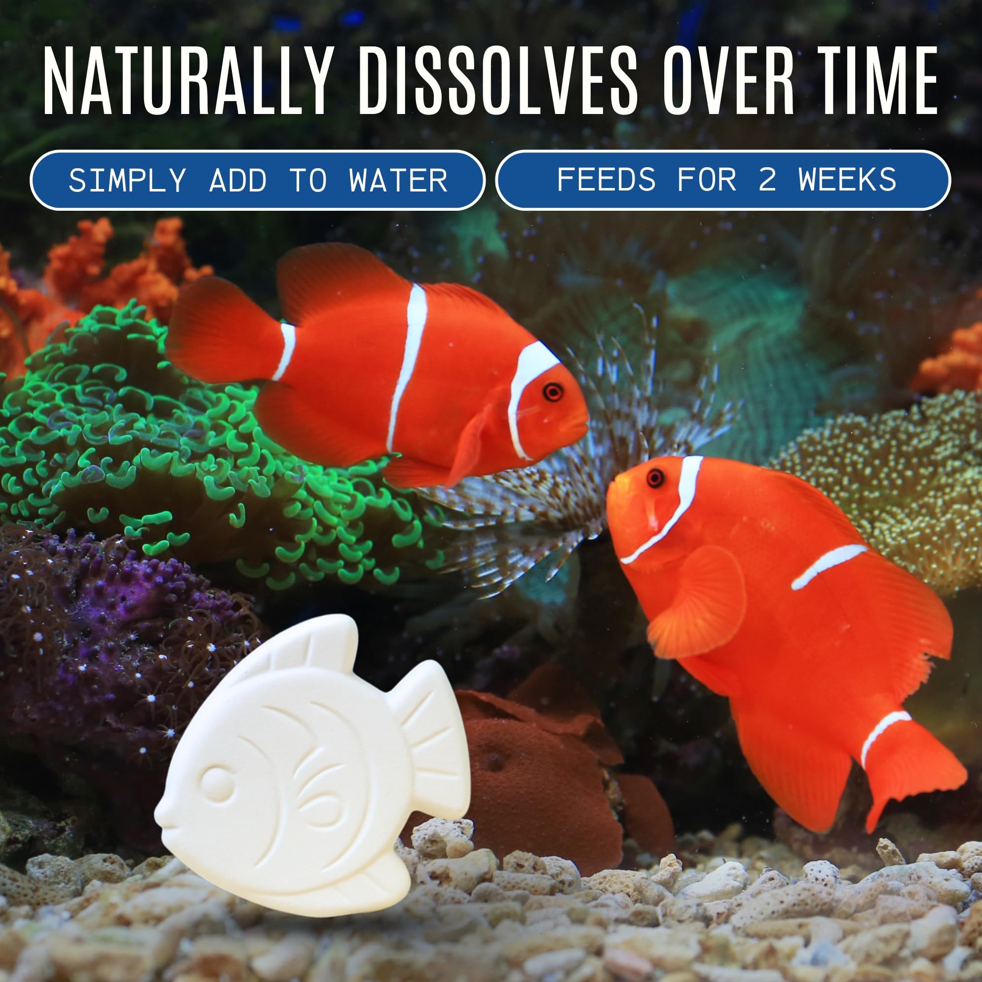 Atlantic Rush Slow-release dissolving feeder block delivers gradual nutrition