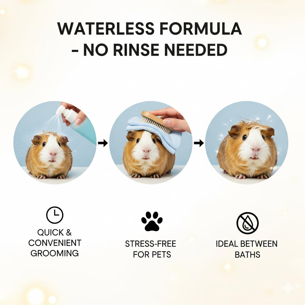 Atlantic Rush USA-made cruelty-free label on dry shampoo bottle