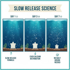 Atlantic Rush vitamin A enriched block visible beside tank decor for enhanced wellbeing.