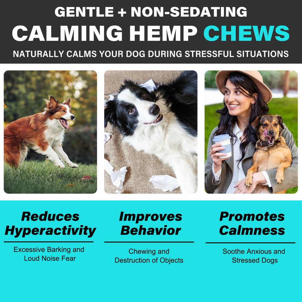 ATOANY Chews in dog's mouth, calming nerves during storms.