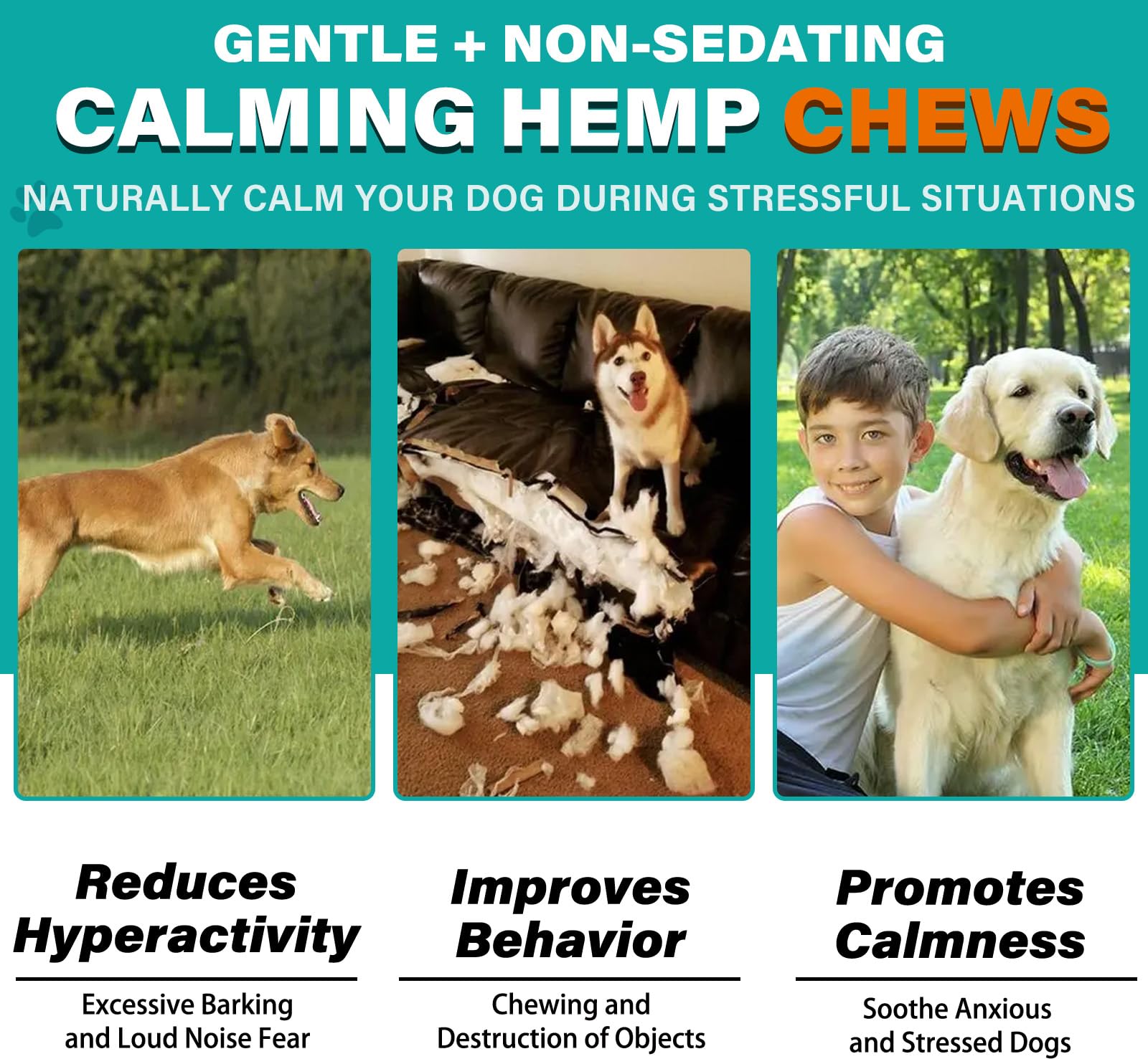 Happy dog enjoying chews during car ride scenario