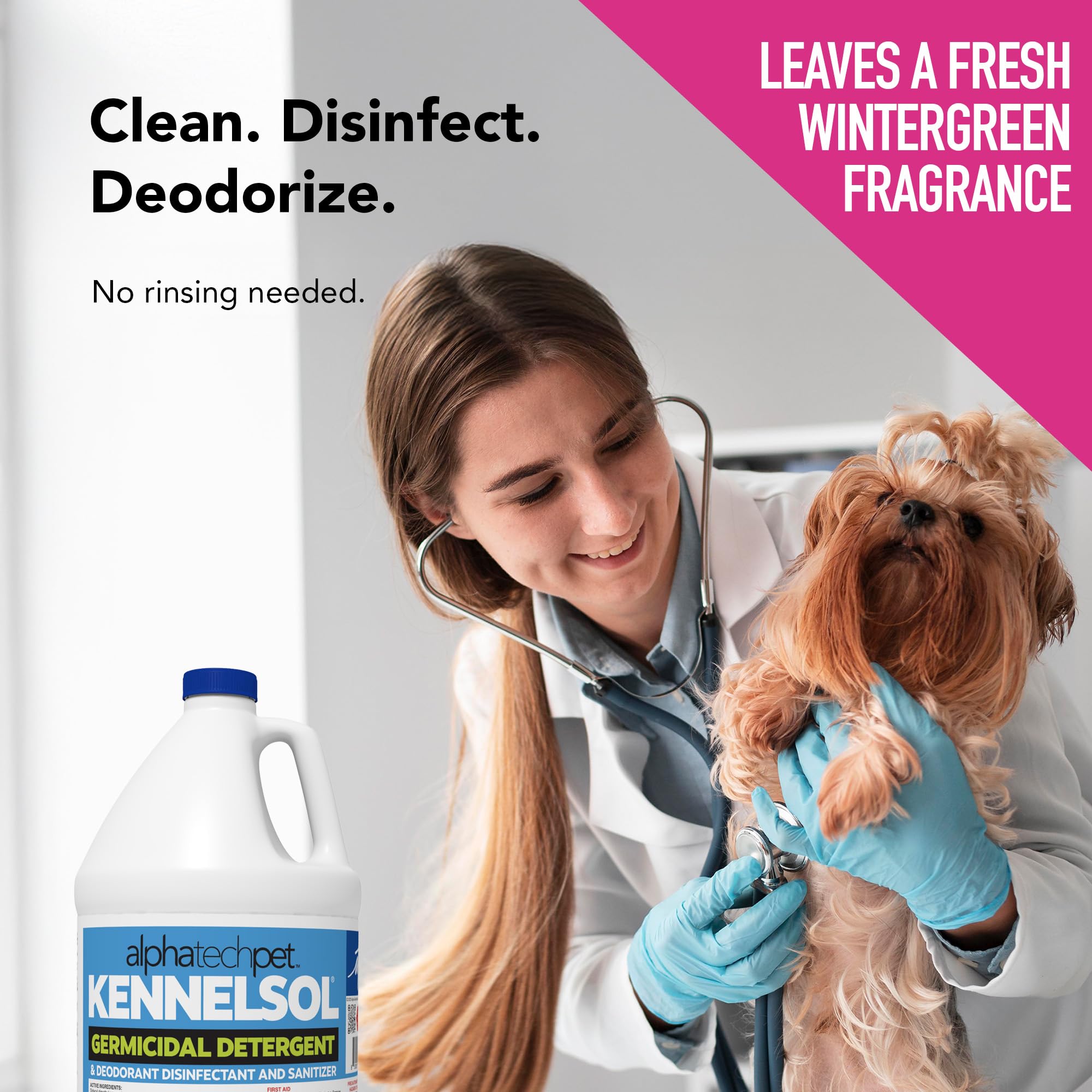 ATP KennelSol kennel cleaning scene in a busy boarding facility.