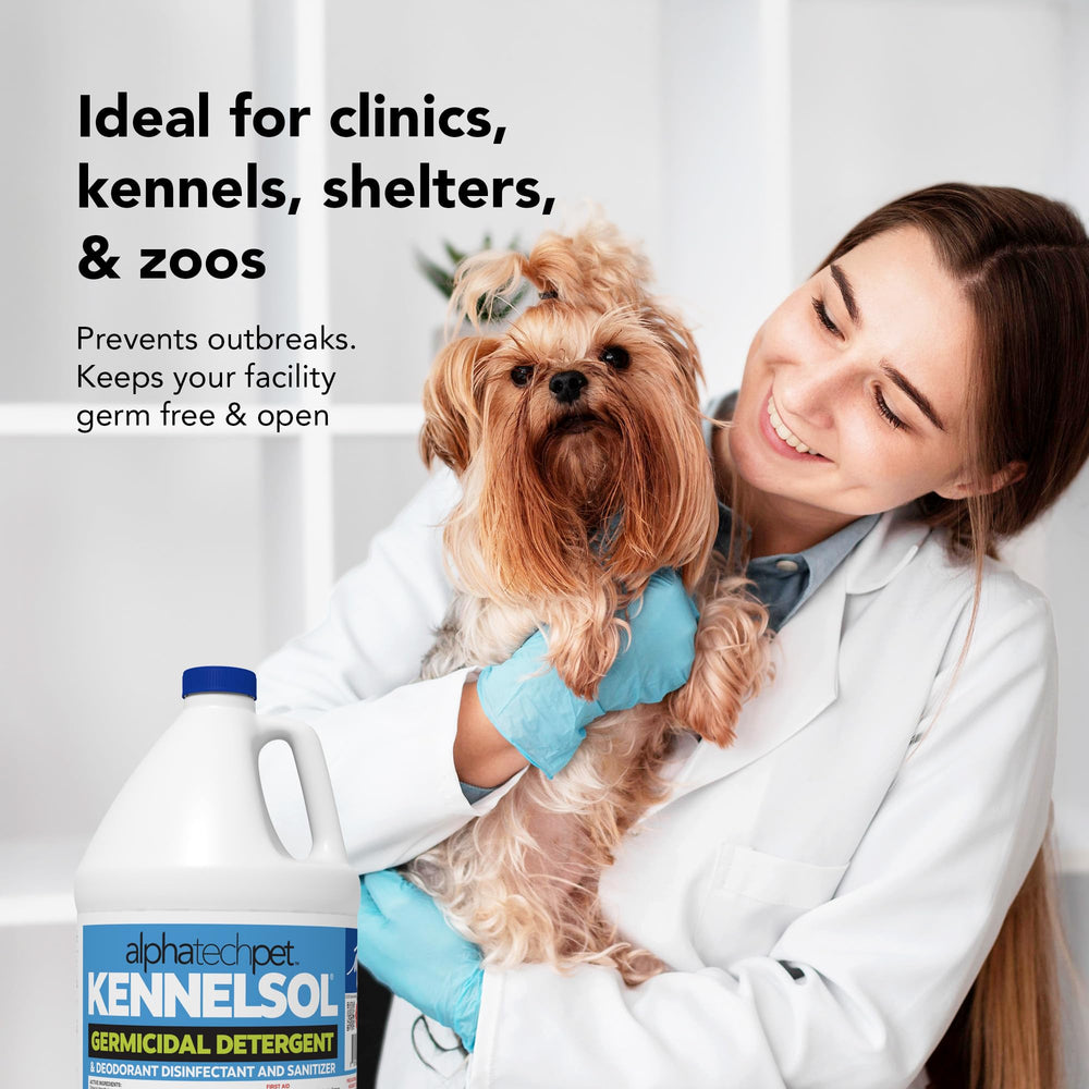 ATP KennelSol packaged gallon image conveys cost-effective daily sanitation solution.