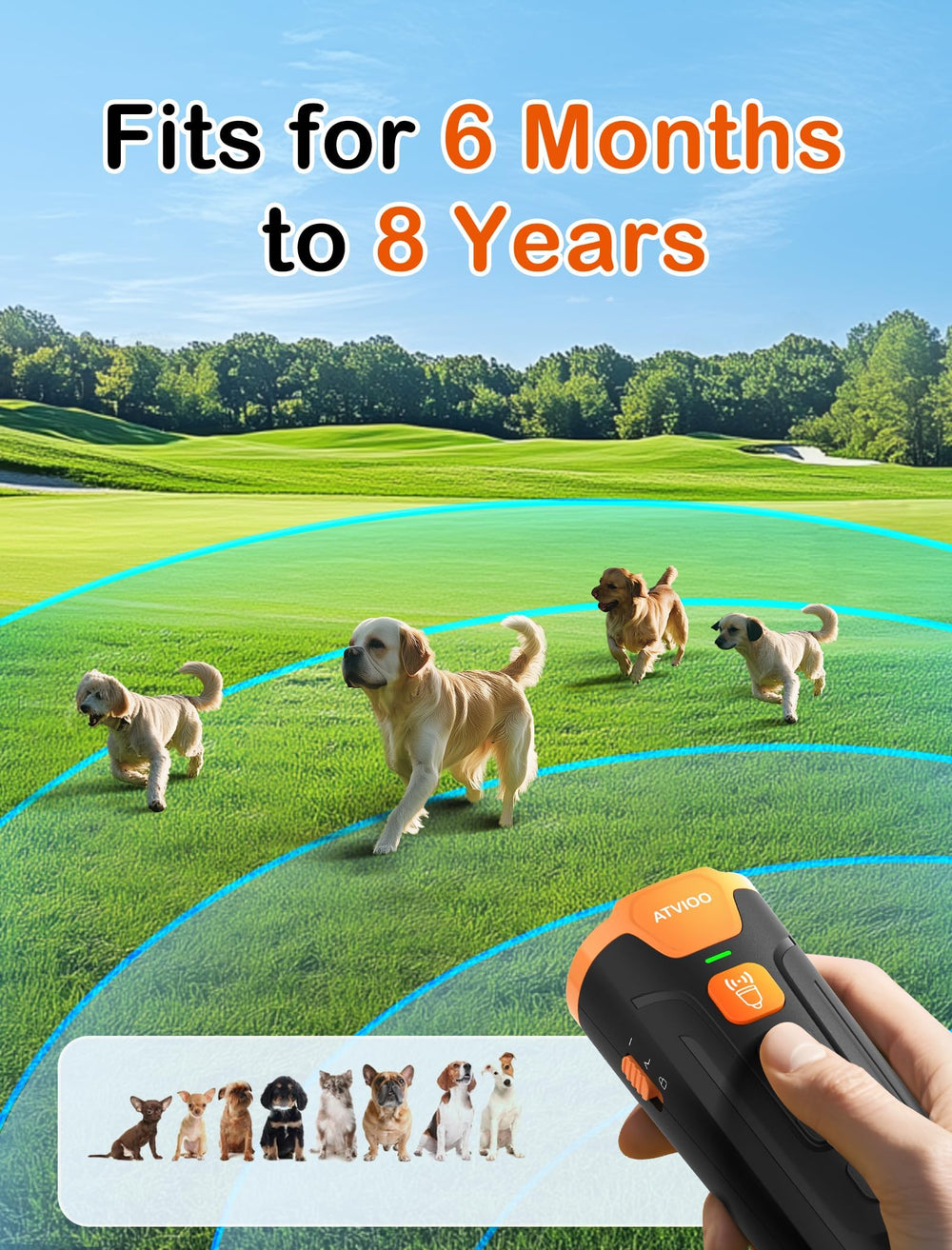 ATVIOO dog bark deterrent wristband demonstrates convenient training during walks.