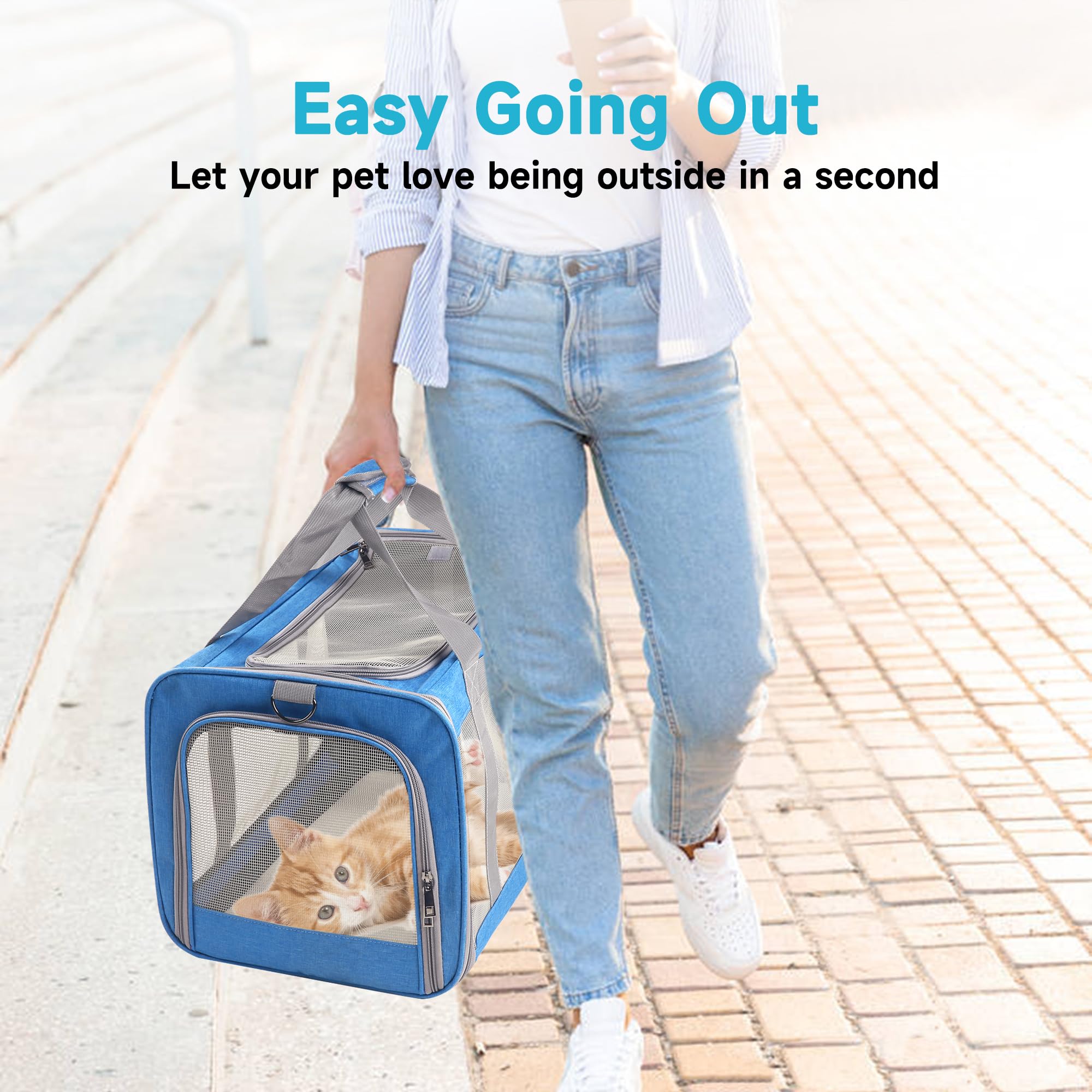 Atvobiy collapsible cat carrier designed for compact storage