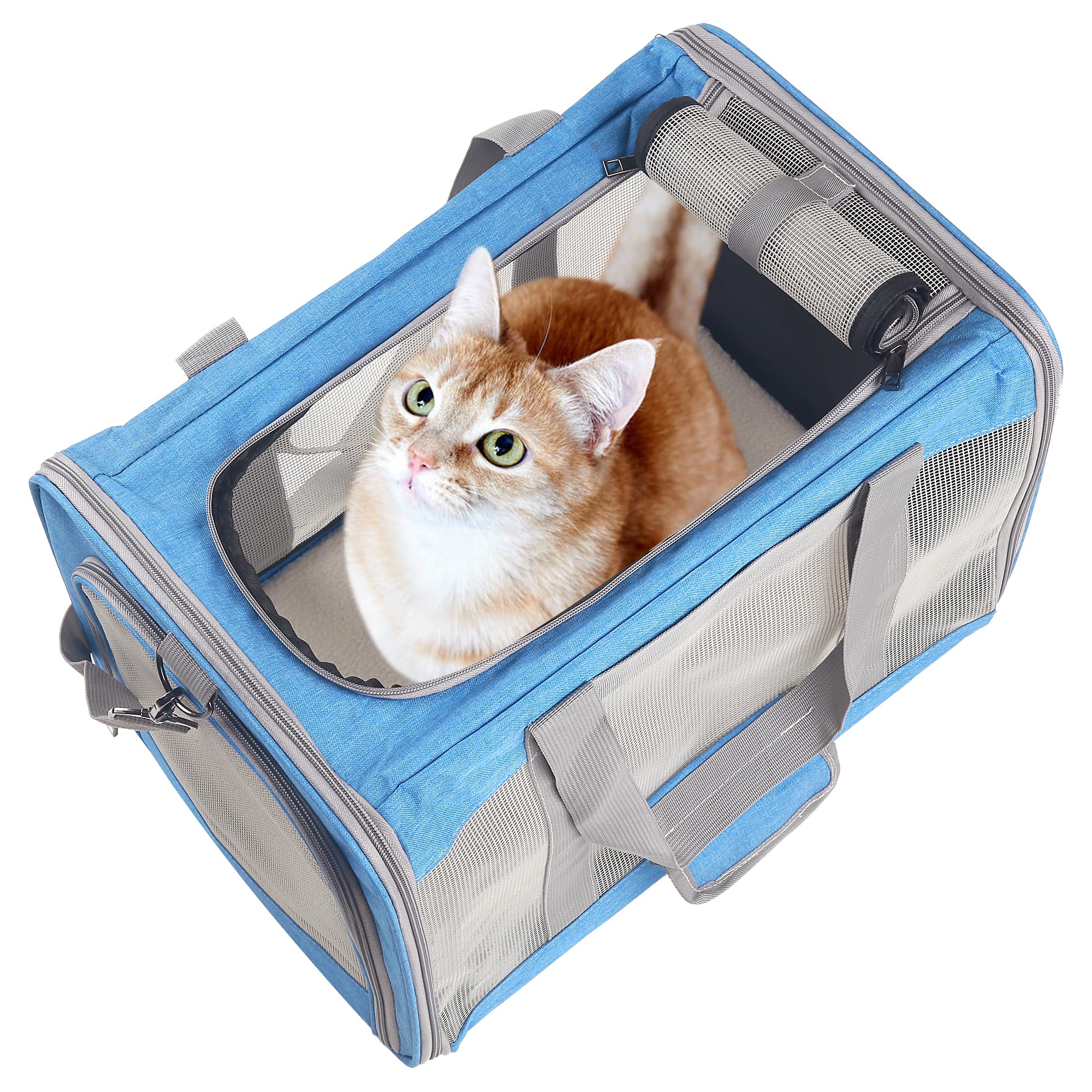 Atvobiy carrier with removable base insert for a solid stand
