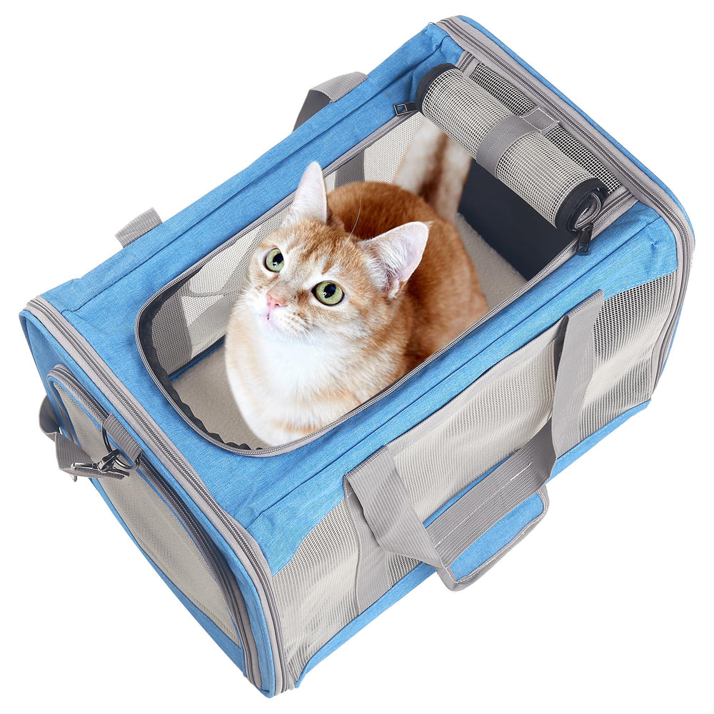 Atvobiy carrier with removable base insert for a solid stand