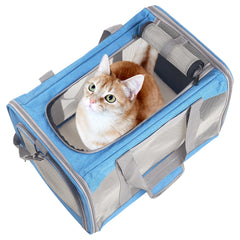 Atvobiy carrier with removable base insert for a solid stand