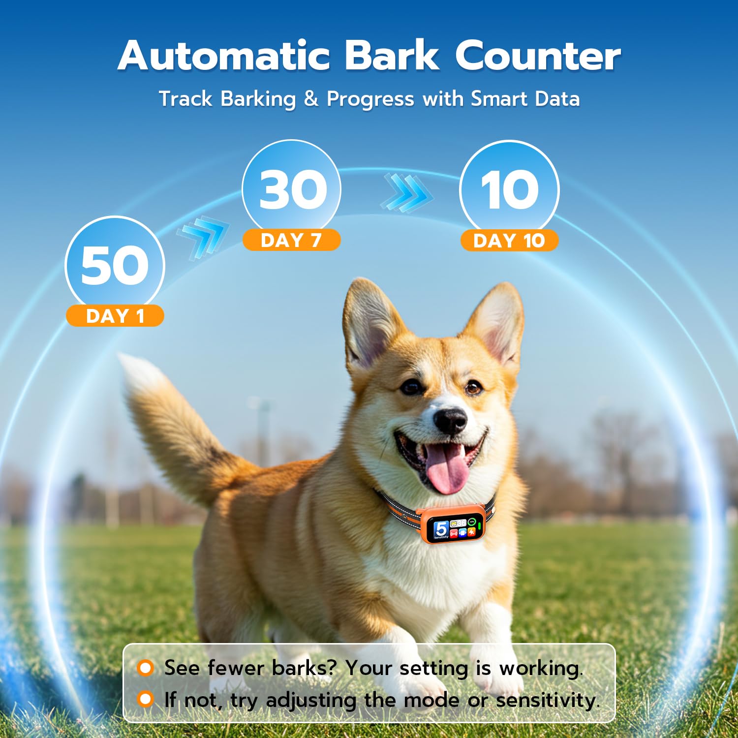 ATWHTE IP67 waterproof dog collar for rain, splashes, and swims
