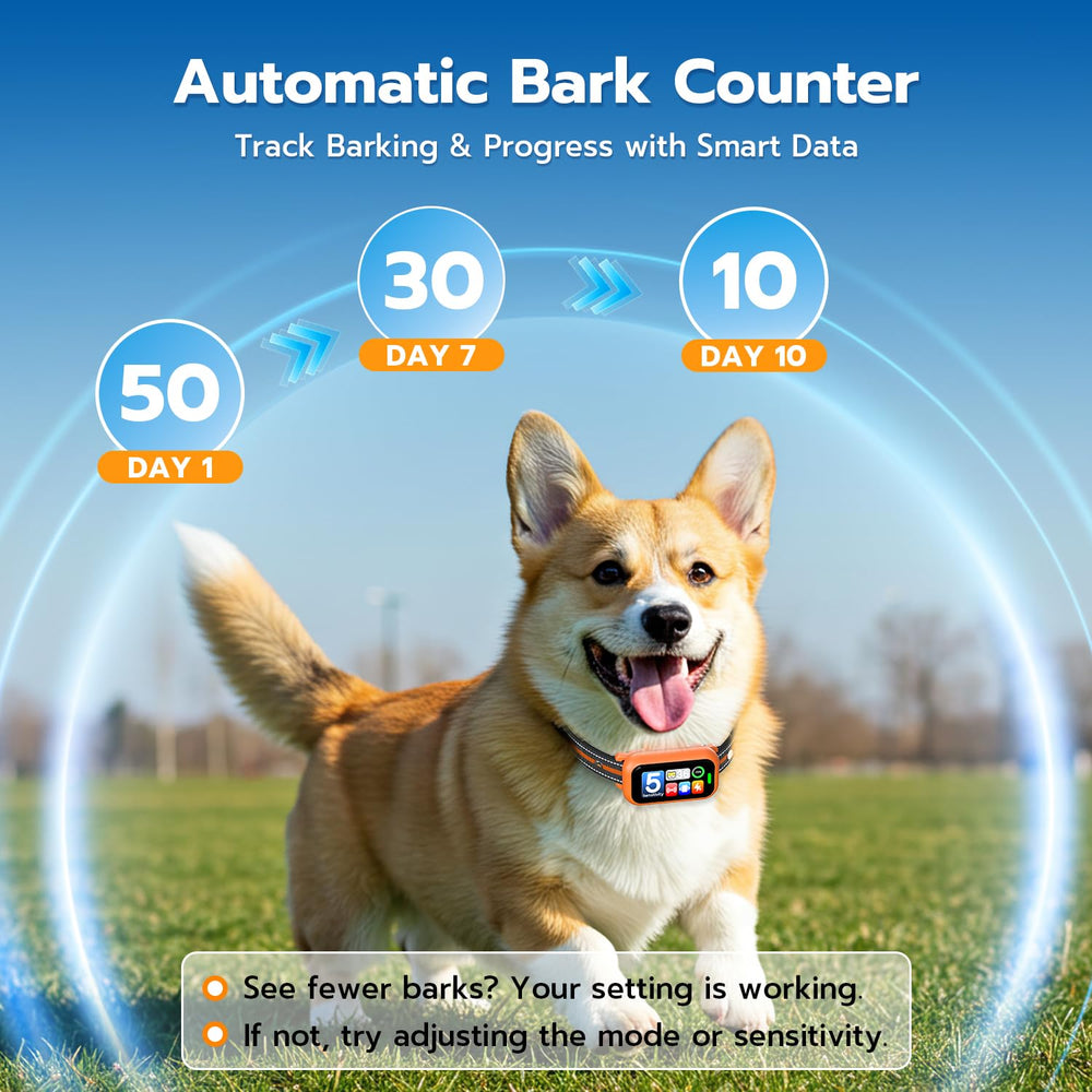 ATWHTE IP67 waterproof dog collar for rain, splashes, and swims