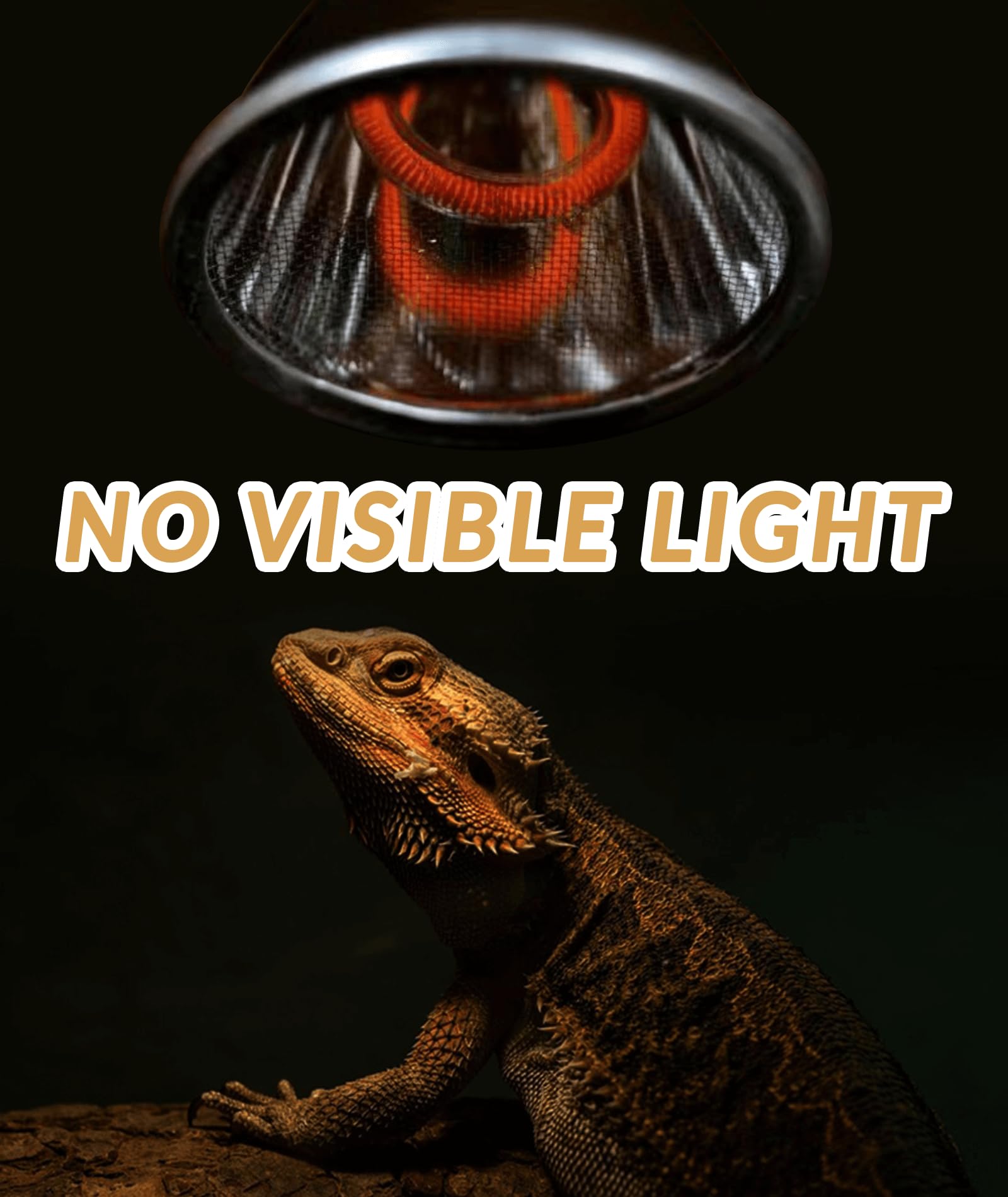 AUAAQ Deep Heat Projector in action warms reptile muscles naturally.